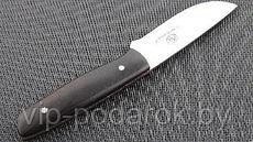Туристический охотничий нож с фиксированным клинком Arno Bernard Hunter 8.6 см AB/Hunter EBONY
