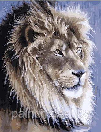Рисование по номерам "Портрет льва" картина - фото 1 - id-p164520896