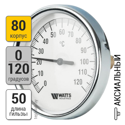 Watts F+R801(T) 80/50, 1/2" термометр аксиальный с уплотнением, фото 2
