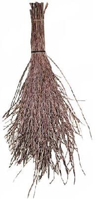 Метла березовая хозяйственная 2022г.: продажа, цена в Минске. Веники ...