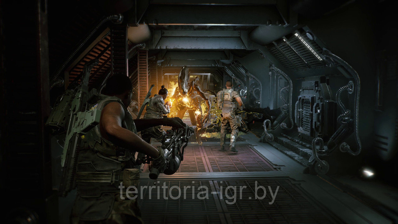 Aliens: Fireteam Elite DVD-2 (Копия лицензии) PC - фото 3 - id-p164549537