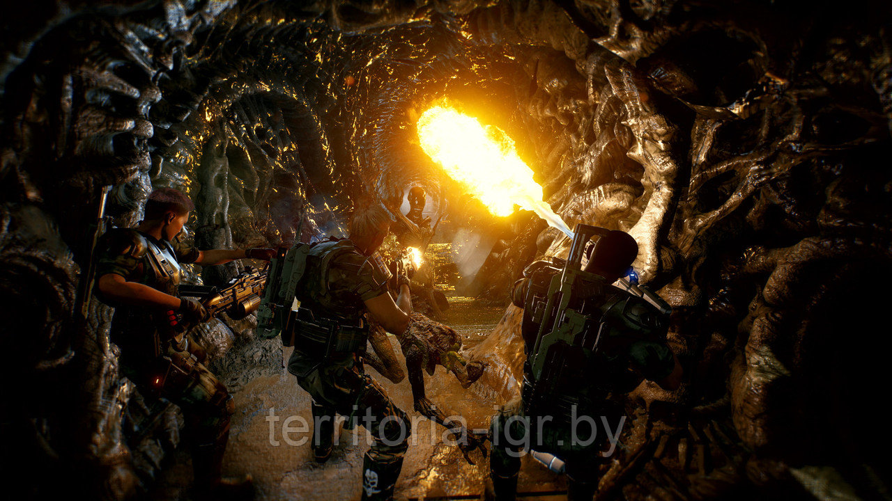 Aliens: Fireteam Elite DVD-2 (Копия лицензии) PC - фото 5 - id-p164549537