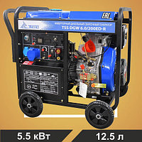 Инверторный дизельный сварочный генератор TSS DGW 6.0/200ED-R