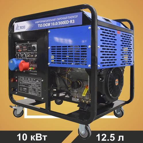 Инверторный дизельный сварочный генератор TSS DGW 10.0/300ED-R3 - фото 1 - id-p155444131