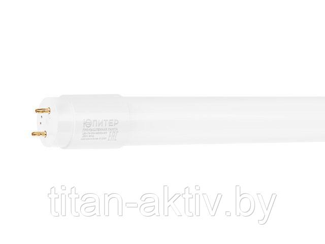 Лампа светодиодная промышл. T8 20 Вт G13 6500К ЮПИТЕР (длина 1200мм, аналог 36Вт, 1800Лм, хол. белый - фото 1 - id-p164805907