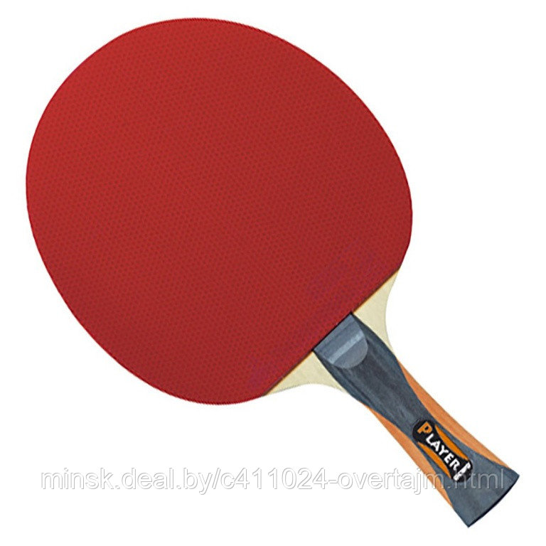 Ракетка для настольного тенниса GEWO Player with Thunderball2 fl - фото 1 - id-p164832503