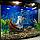 Аквариум Aqua Телик на 45 л. готовый комплект с оборудованием и декором, фото 2