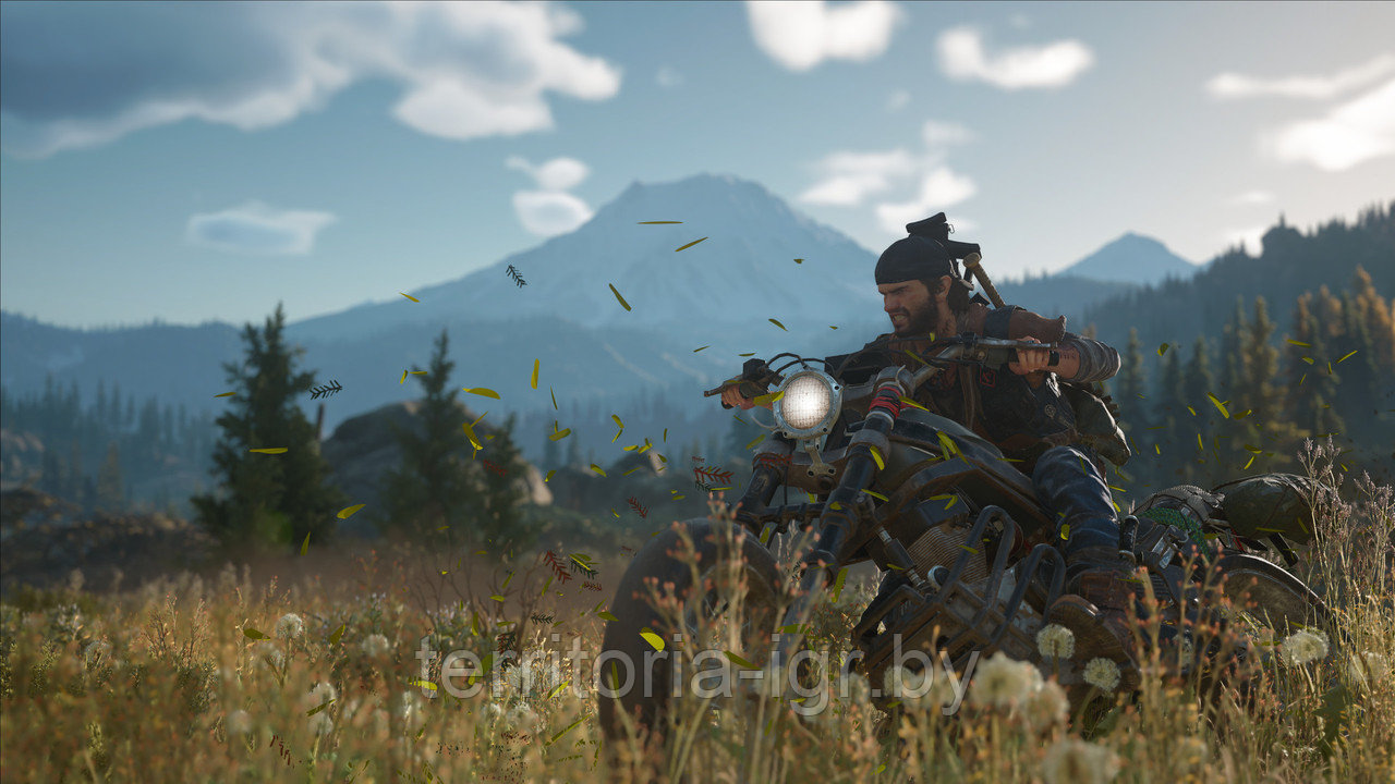 Days Gone PC Игра на Флешке 32GB - фото 4 - id-p164882812