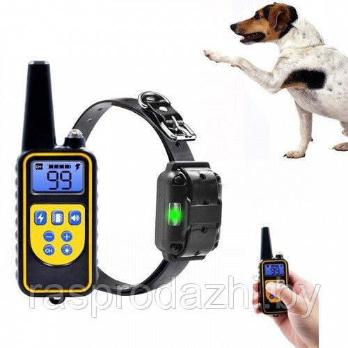 Ошейник электронный для дрессировки собак Rechargeable and Waterproof - фото 2 - id-p164957591