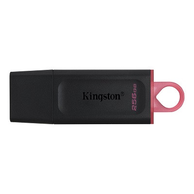 USB-накопитель Kingston DataTraveler Exodia 256GB (DTX/256GB) - фото 1 - id-p165059495