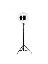 Кольцевая светодиодная лампа 36 см LED RL-14 +штатив 2,1 м, фото 3