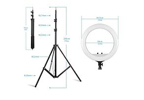 Кольцевая светодиодная лампа 45 см LED RL-18 +штатив 2,1 м, фото 2