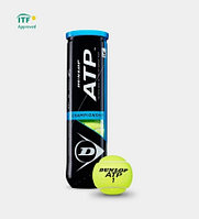 Мячи для тенниса Dunlop ATP Championship 4 шт 622DN601333