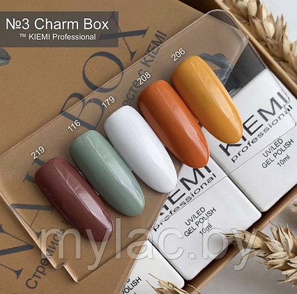Набор Nail Box KIEMI №3 “CHARM”