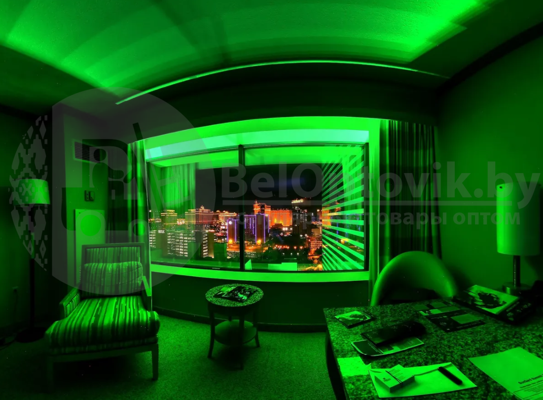 Неоновая светодиодная лента Neon Flexible Strip с контроллером / Гибкий неон 5 м. Зеленый - фото 10 - id-p165162508