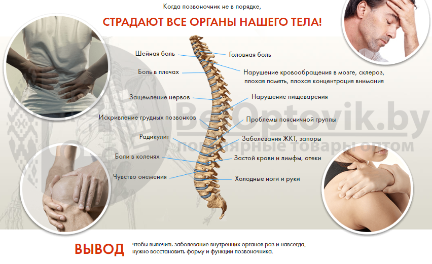 Упор поясничный (массажная сетка для поддержки спины, упор на спинку стула) Seat Back - фото 9 - id-p119528074