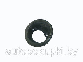 РАМКА ПРОТИВОТУМАННОЙ ФАРЫ (ПРАВАЯ) Renault Clio II 1998-2001, PRN99000(WE)R