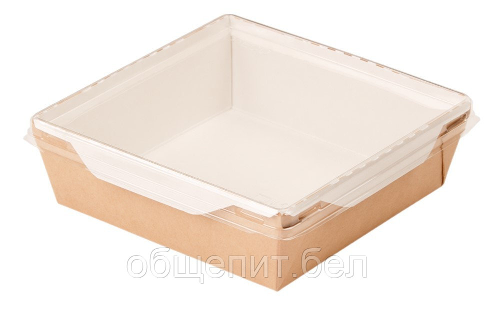 Салатник DoEco 150x150x50 м ECO OPSALAD 900 с прозрачной крышкой  (200 шт./кор.)