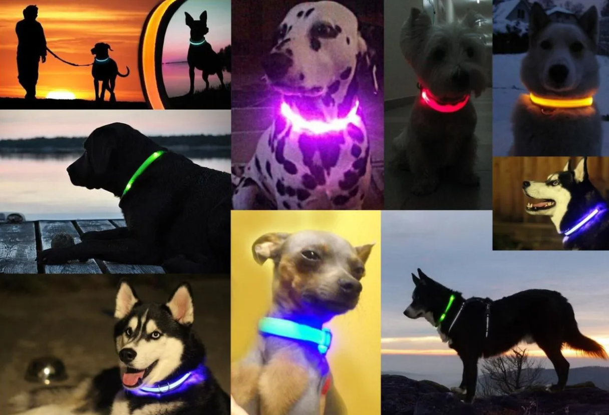 Светящийся ошейник для собак (3 режима) Glowing Dog Collar - фото 7 - id-p96704540