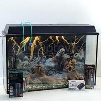 Аквариум Aqua Ширма на 75 л. готовый комплект с оборудованием и декором 2