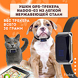 Gps трекер для собак и кошек, фото 4
