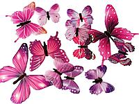Бабочки флюоресцентные набор 12 шт. SiPL