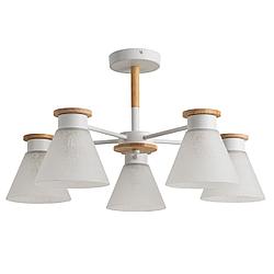 Потолочная люстра Arte Lamp TYLER A1031PL-5WH