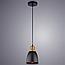 Подвесной светильник Arte Lamp EURICA A4248SP-1BK, фото 2