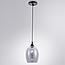 Подвесной светильник Arte Lamp PROPUS A4344SP-1BK, фото 2
