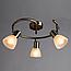 Спот Arte Lamp Parry A5062PL-3AB, фото 2
