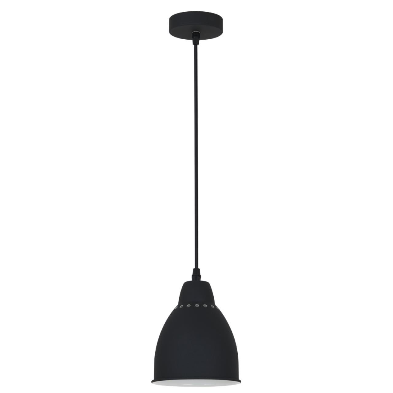 Подвесной светильник Arte Lamp Braccio A2054SP-1BK