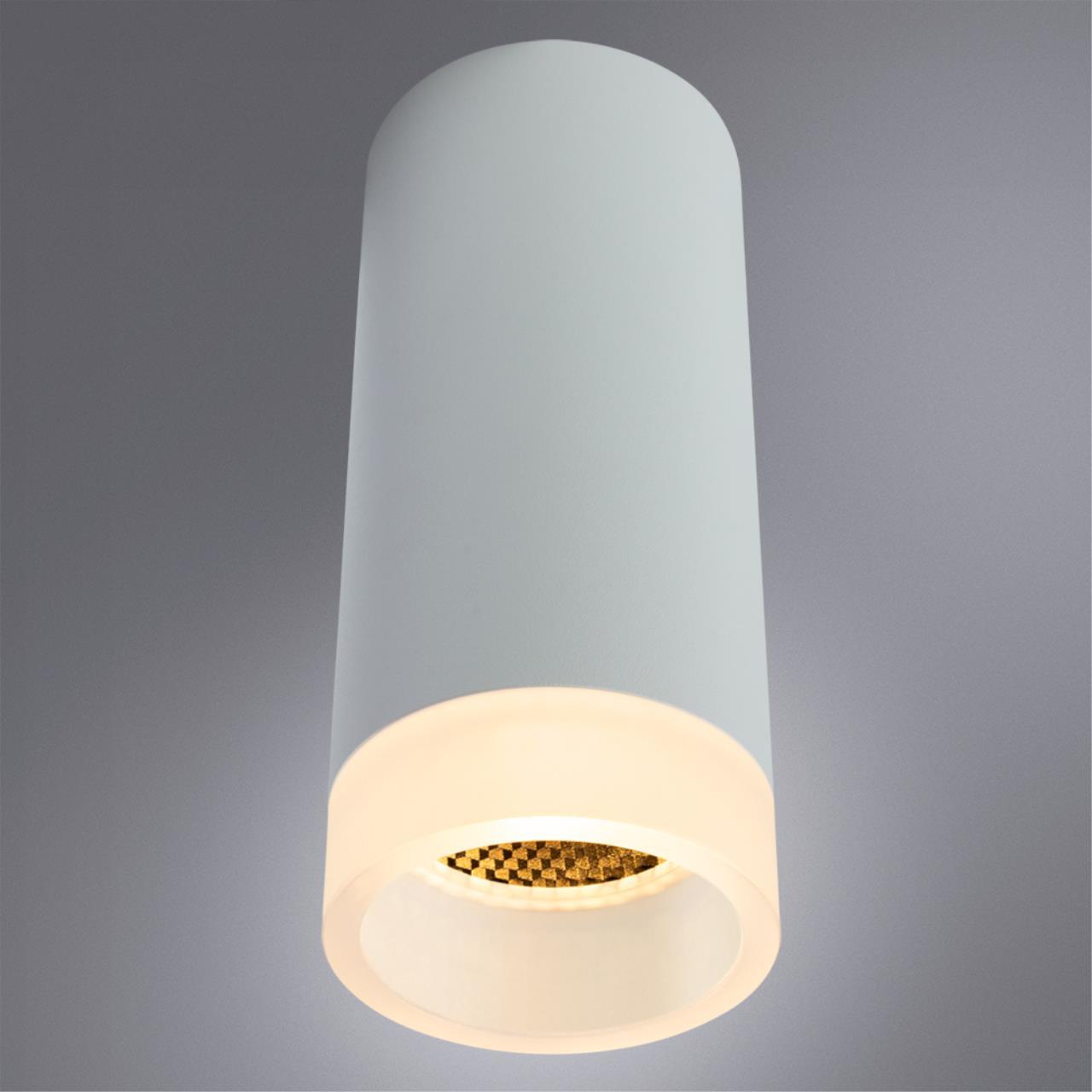 Точечный накладной светильник Arte Lamp OGMA A5556PL-1WH - фото 2 - id-p165425971