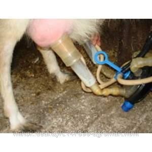 Агрегат доильный АД-02СК для коз, кобылиц, лосих, верблюдиц "Фермер" - фото 2 - id-p165456667