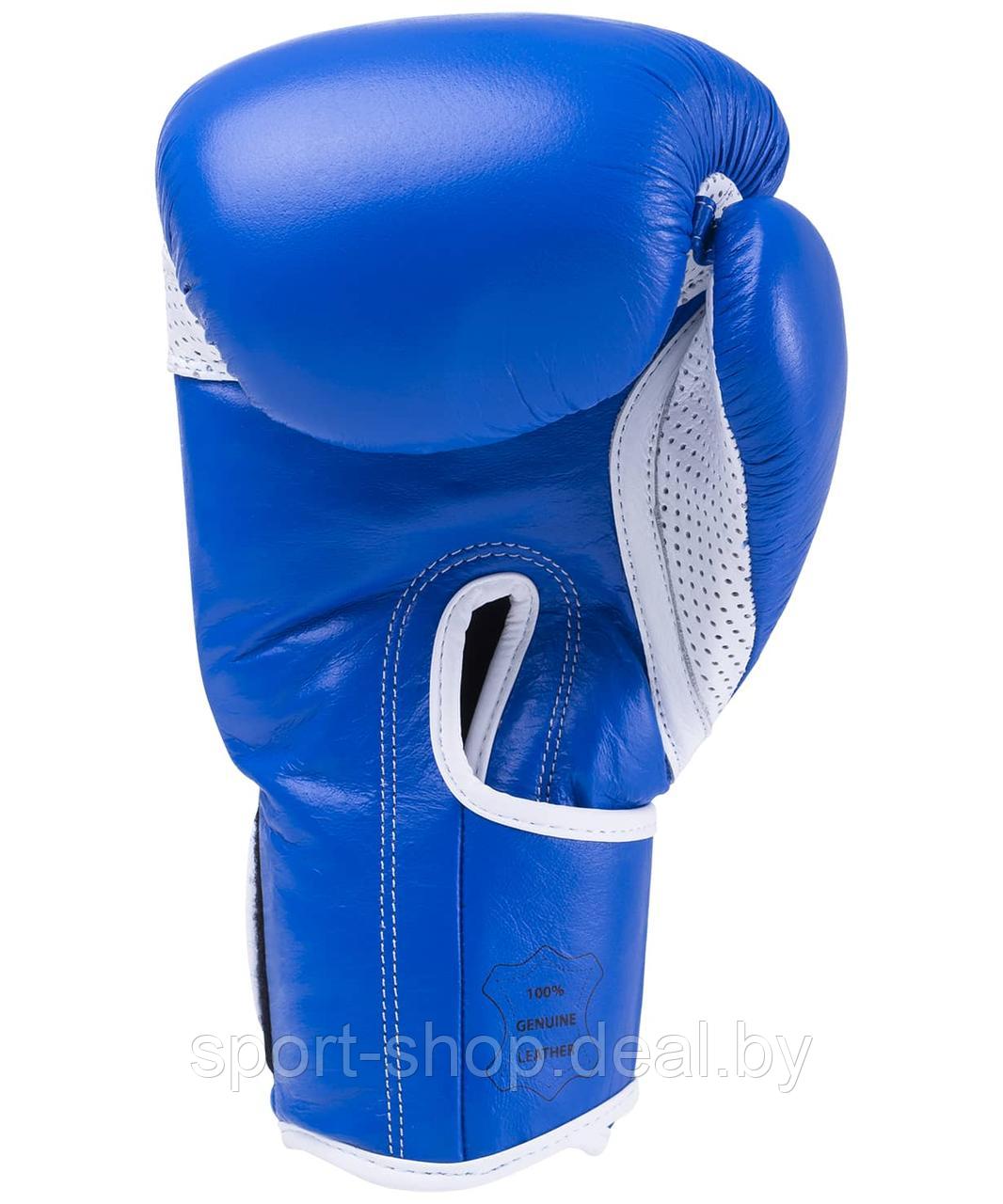 Боксерские перчатки KSA Wolf Blue Кожа (12 oz),перчатки для бокса, перчатки 12 унций, перчатки боксерские - фото 3 - id-p165488226