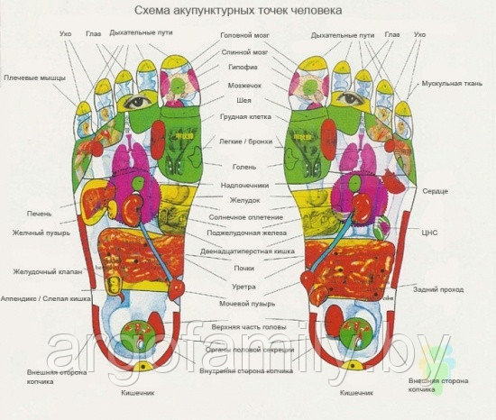 Аппликатор Ляпко «Одинарный» (105х230 мм) шаг 6,2 (остеохондроз, шейный, грудной отдел, поясница) - фото 5 - id-p71909554