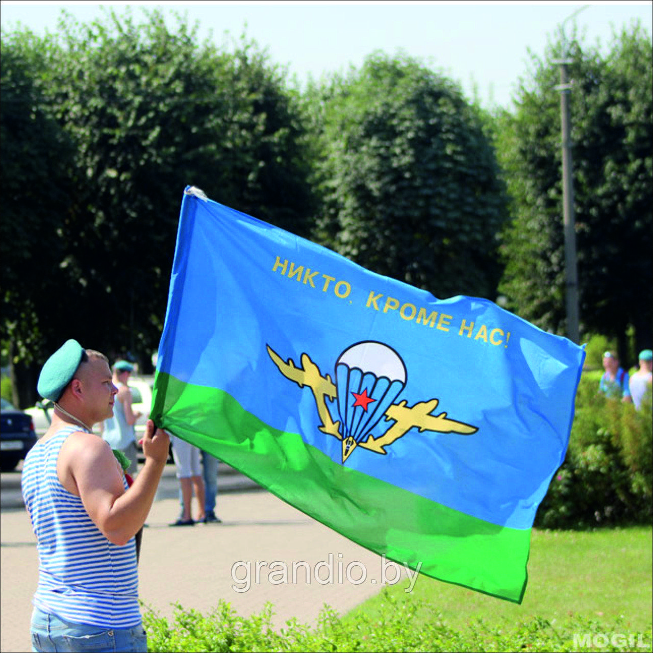 Флаг ВДВ 70х105 (военный)
