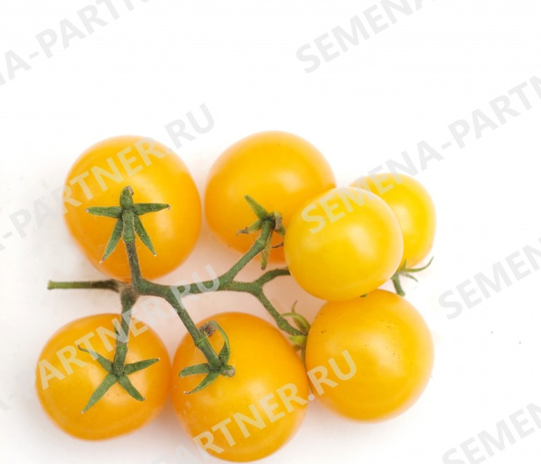 Семена Партнер томат "Балконное чудо" желтый - фото 3 - id-p165282706