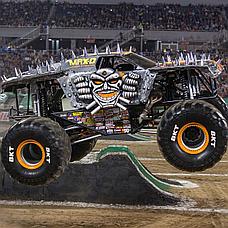 Конструктор LEGO Technic Monster Jam Max-D 42119, фото 3