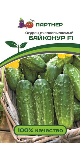 Семена Партнер Огурец "БАЙКОНУР F1" (1г), фото 2
