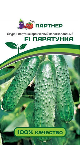 Семена Партнер Огурец "ПАРАТУНКА F1" (5шт), фото 2