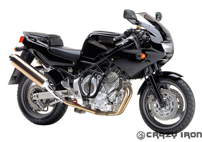 Дуги YAMAHA TRX850 "CRAZY IRON" - фото 1 - id-p163902013