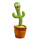 Игрушка-повторяшка Танцующий кактус / Dancing Cactus, фото 5