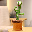 Игрушка-повторяшка Танцующий кактус / Dancing Cactus, фото 6