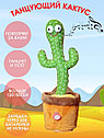 Игрушка-повторяшка Танцующий кактус / Dancing Cactus, фото 3
