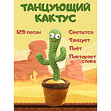 Игрушка-повторяшка Танцующий кактус / Dancing Cactus, фото 2