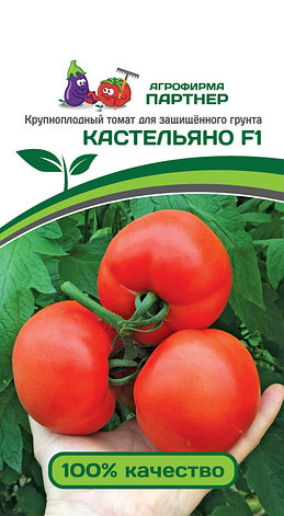 Семена Партнер Томат "КАСТЕЛЬЯНО F1" (5шт) 2-ной пак, фото 2