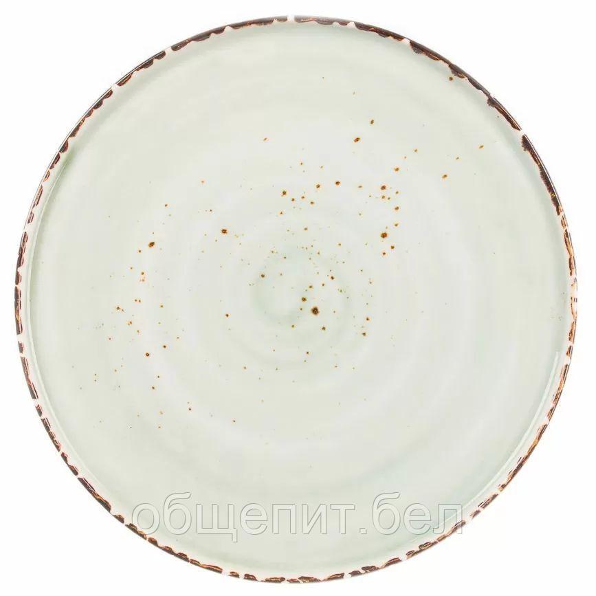 Тарелка Organica Green 22 см, P.L. Proff Cuisine - фото 1 - id-p165767503