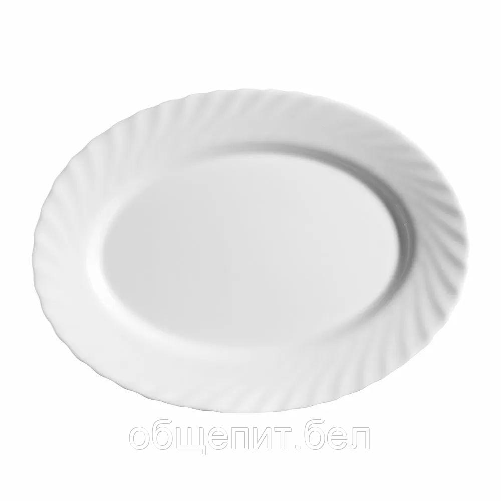 Блюдо овальное Luminarc Trianon 29*22 см, h 1,5 см, стеклокерамика, белый цвет, ARC, - фото 1 - id-p165771225