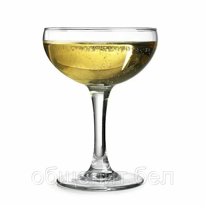 Бокал-блюдце для шампанского Arcoroc "Элеганс" 150 мл, d 90 мм, h 123 мм, ARC, стекло - фото 2 - id-p165772936