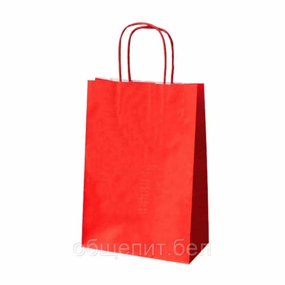 Пакет для покупок с ручками 20+10*29 см, красный, бумага, Garcia de PouИспания - фото 1 - id-p165774492